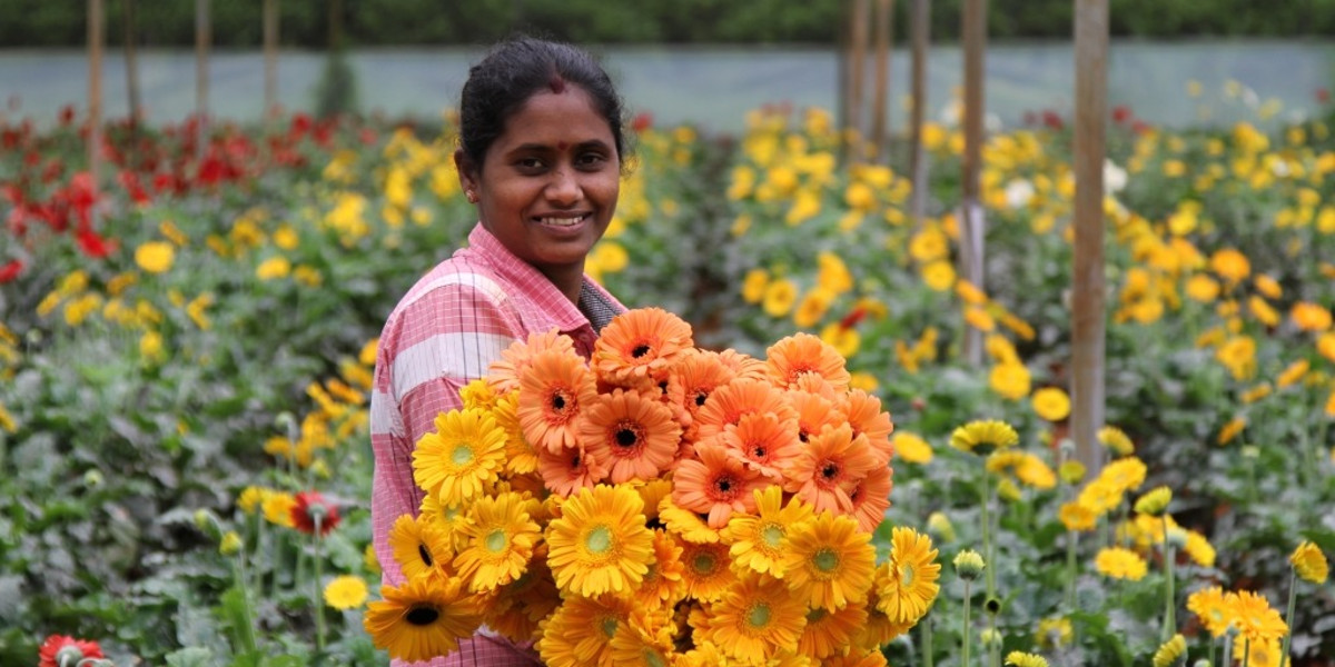 Entrepreneurship Floriculture