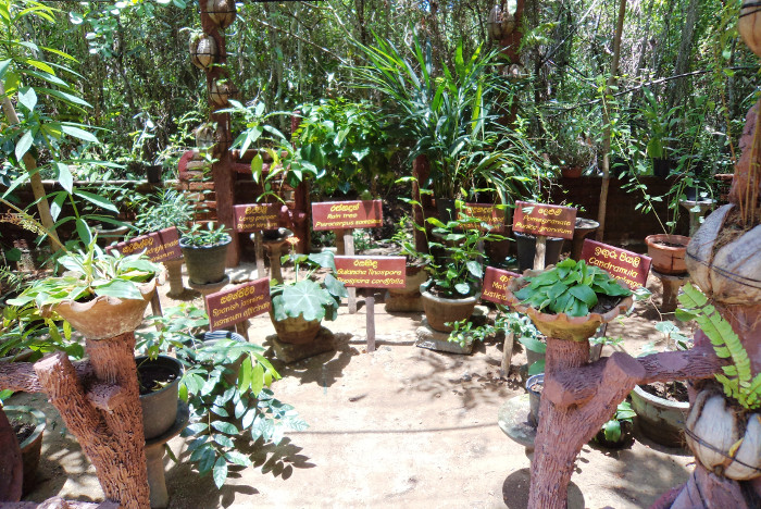 Enviromental Center Sri Lanka