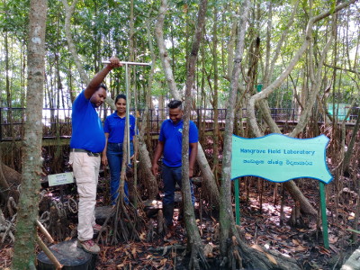 mangrove field laboratory