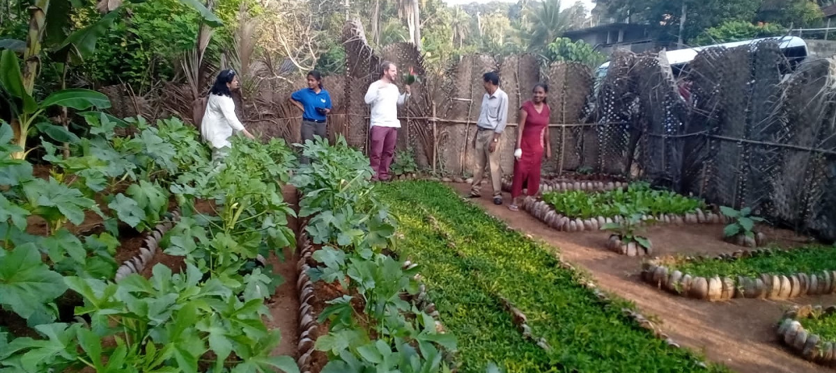 agro forestry garden