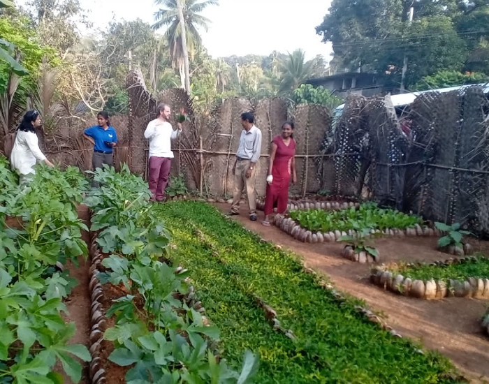 agro-forestry Home Garden