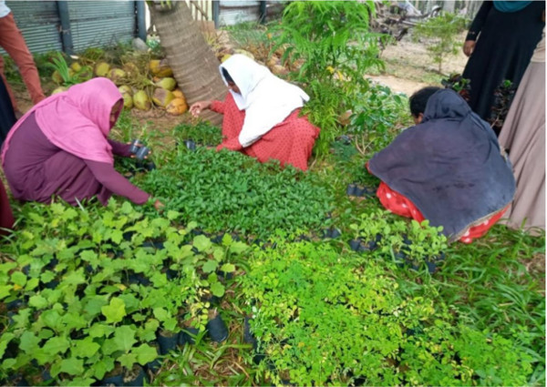 home gardern farming