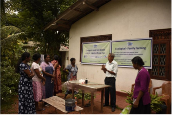 vegetable farm workshop