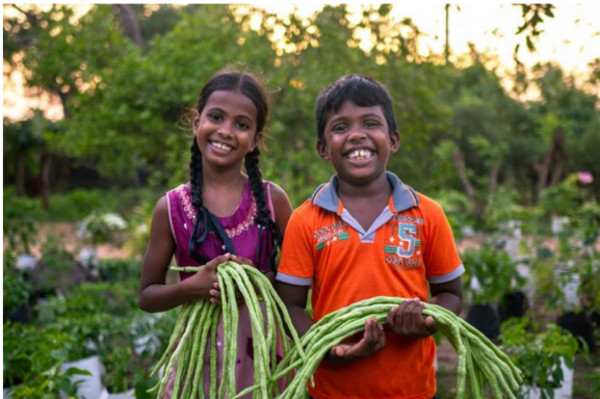 family farm kids